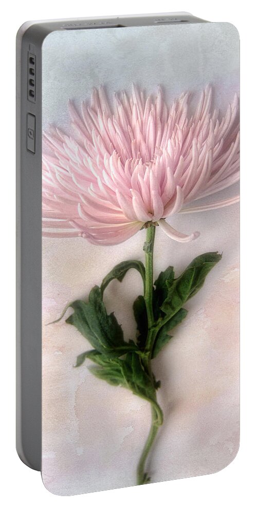 Chrysanthemum Portable Battery Charger featuring the photograph Pretty Pink Mum by Louise Kumpf