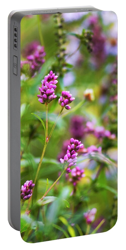 Flowers Portable Battery Charger featuring the photograph Pink Smartweed Flowers #1 by Christina Rollo