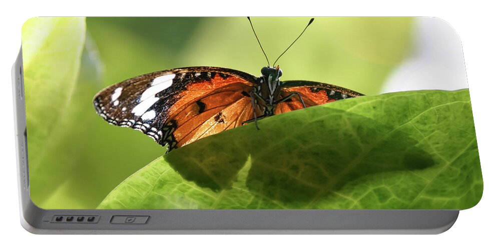 Painted Lady Butterfly Portable Battery Charger featuring the photograph Preview - by Julie Weber