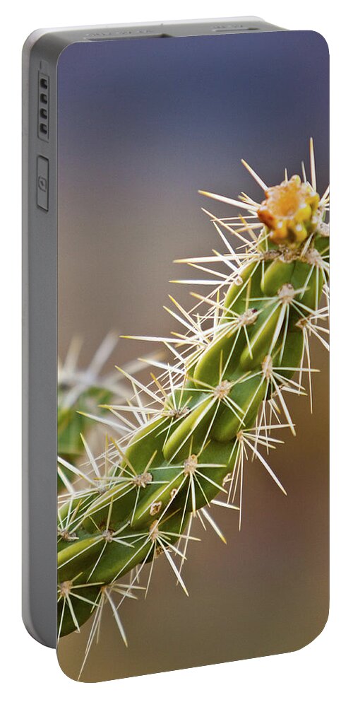 Brick Portable Battery Charger featuring the photograph Prickly Branch by SR Green