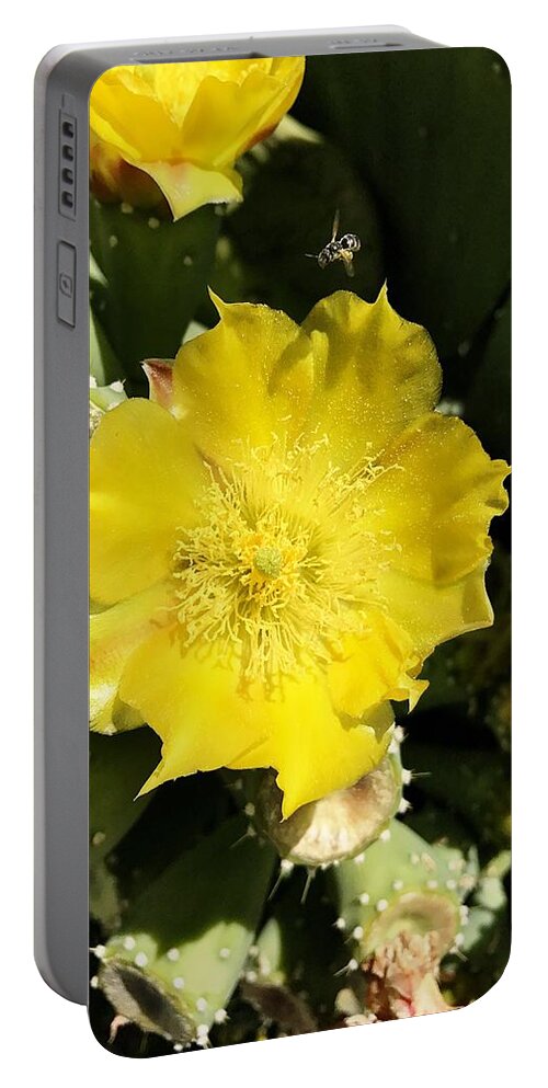 Prickly Pear Portable Battery Charger featuring the photograph Prickly Pear And The Bee by Brad Hodges