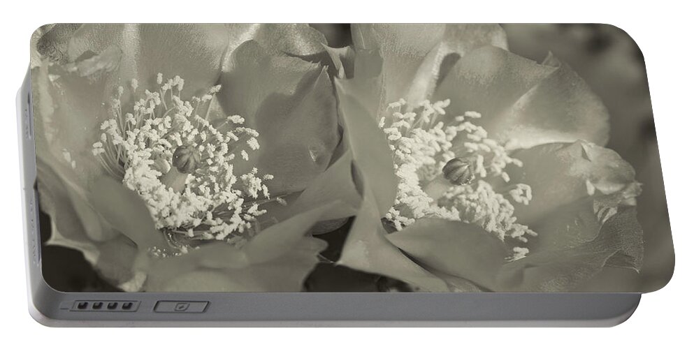 Prickly Pear Portable Battery Charger featuring the photograph Prickly Pear Blooms in Sepia by Kathy Clark