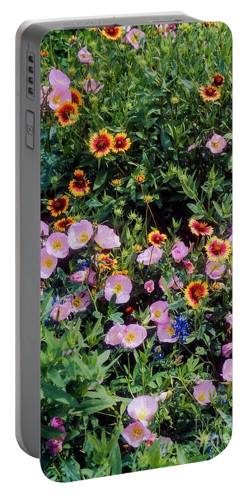 Lady Bird Johnson Wildflower Center Portable Battery Charger featuring the photograph Primrose and Indian Blanket by Bob Phillips