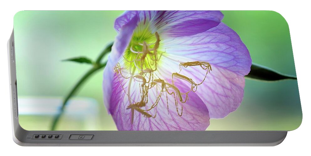 Mexican Evening Primrose Portable Battery Charger featuring the photograph Primrose Pearls by Debra Sabeck