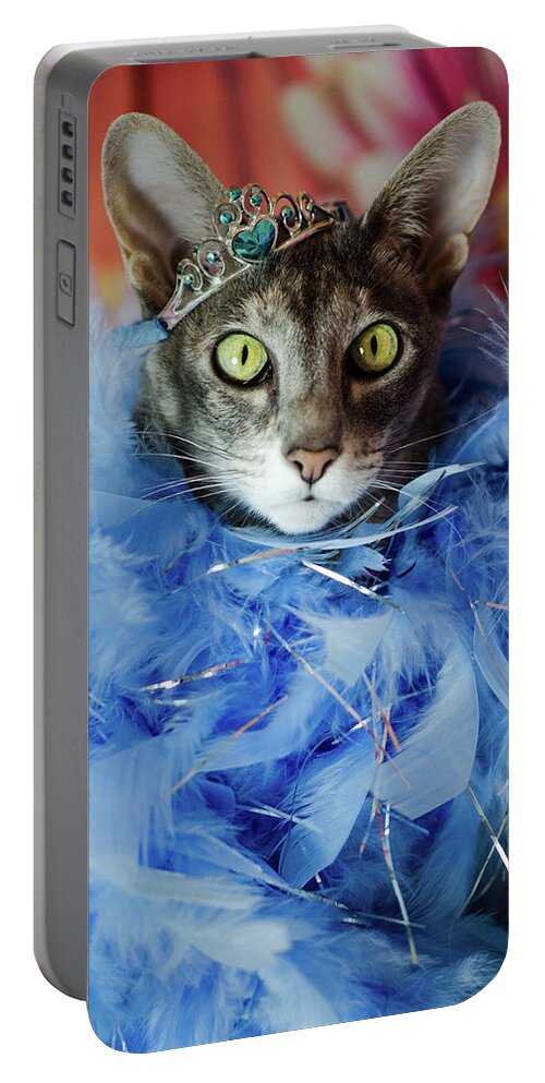 Cat Portable Battery Charger featuring the photograph Princess Cat by Tammy Ray