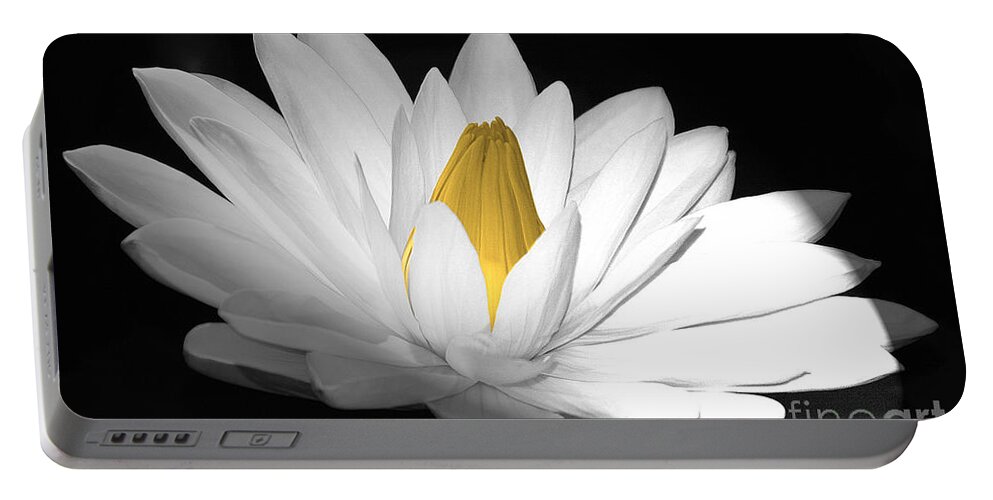 Flora Portable Battery Charger featuring the photograph Pristine by Cindy Manero