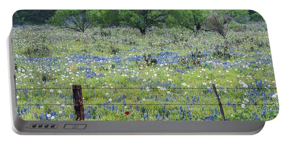 Cactus Portable Battery Charger featuring the photograph Private property -Wildflowers of Texas. by Usha Peddamatham