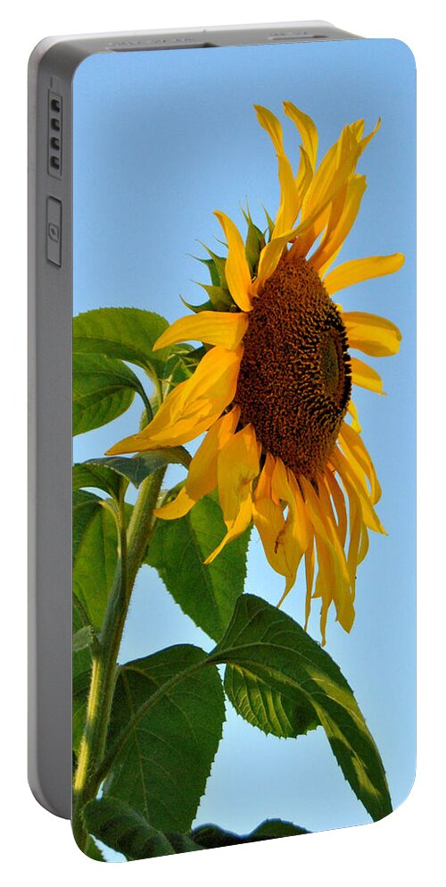 Sunflower Photography Portable Battery Charger featuring the photograph Profile Of A Sunflower by Kathleen Sartoris