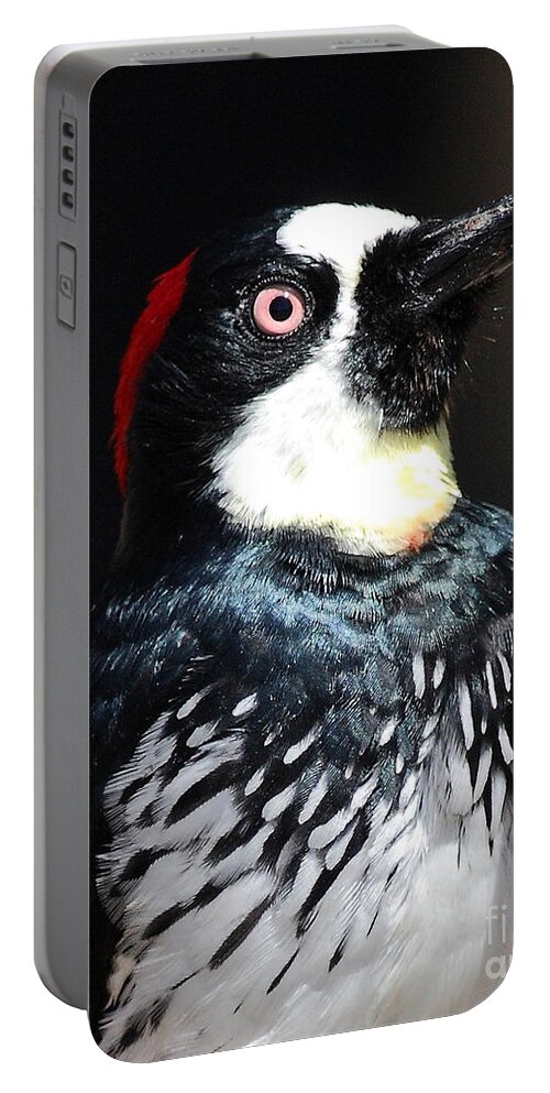 Bird Portable Battery Charger featuring the photograph Profile of an Acorn Woodpecker by Wingsdomain Art and Photography