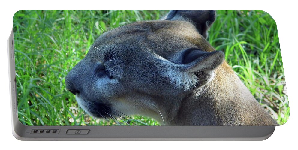Panther Portable Battery Charger featuring the photograph Profile Of Yuma by D Hackett
