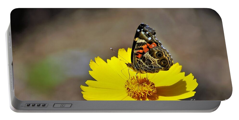 Butterfly Portable Battery Charger featuring the photograph Proper stance by Merle Grenz