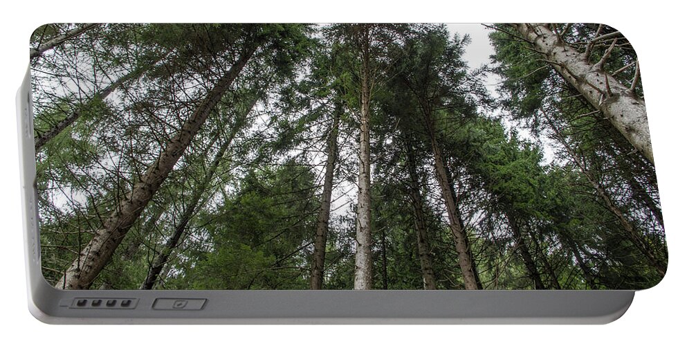 Trees Portable Battery Charger featuring the photograph Prospective of a pines forest by Nicola Aristolao