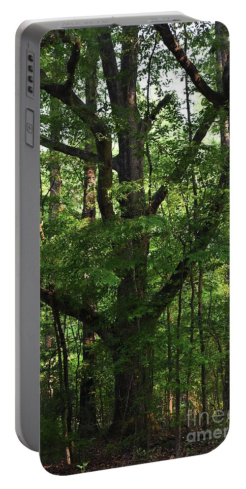 Nature Portable Battery Charger featuring the photograph Protecting The Children by Skip Willits