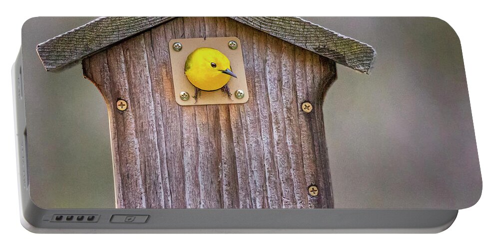 Bird Portable Battery Charger featuring the photograph Prothonotary Warbler House by Emma England