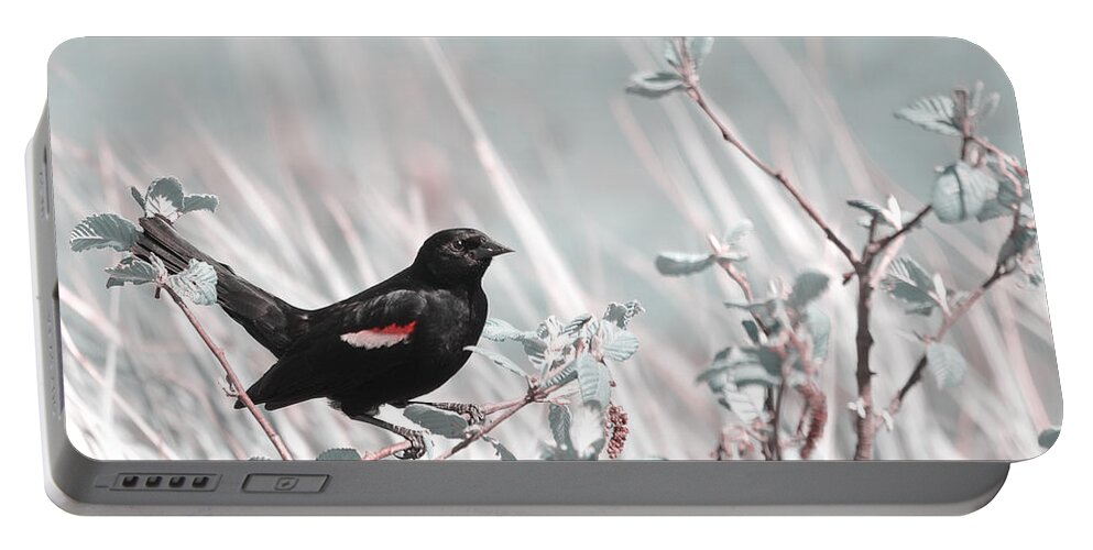 Bird Portable Battery Charger featuring the photograph Proud Male by Aimelle Ml