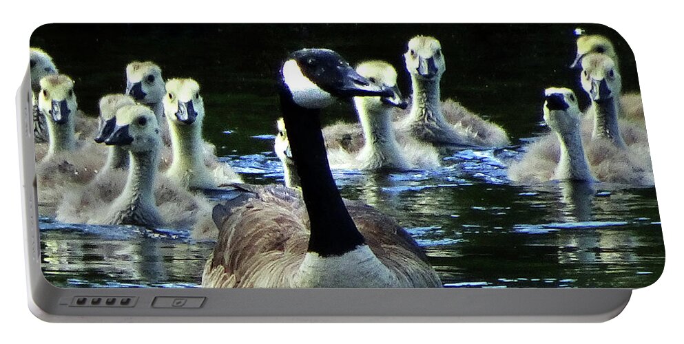 Goose Portable Battery Charger featuring the photograph Proud Mama by Mikki Cucuzzo