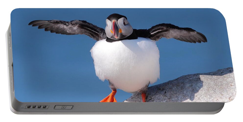 Puffin Portable Battery Charger featuring the photograph Puffin Dance by Bruce J Robinson
