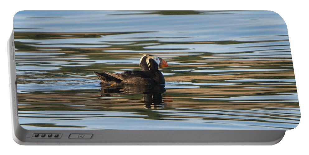 Tufted Puffin Portable Battery Charger featuring the photograph Puffin Reflected by Michael Dawson