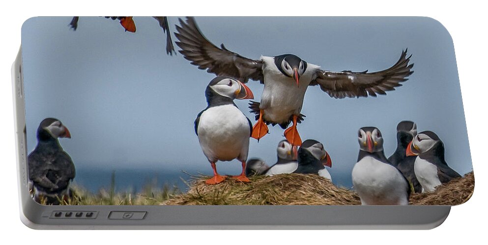 Puffins Portable Battery Charger featuring the photograph Puffins by Brian Tarr