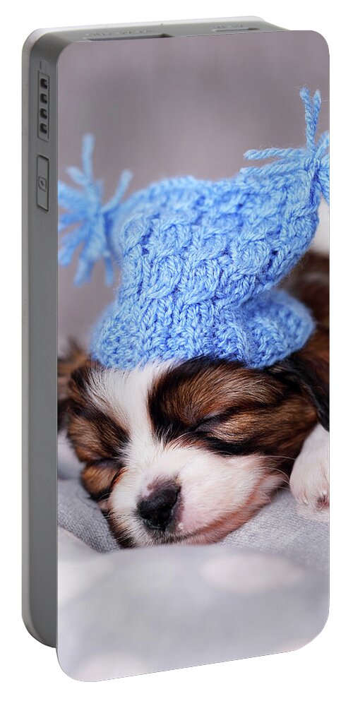 Iuliia Malivanchuk Portable Battery Charger featuring the photograph puppy in a knitted hat by Iuliia Malivanchuk by Iuliia Malivanchuk