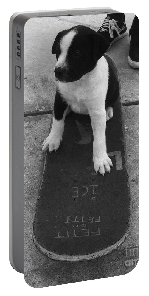 Puppy Portable Battery Charger featuring the photograph Puppy skater by WaLdEmAr BoRrErO