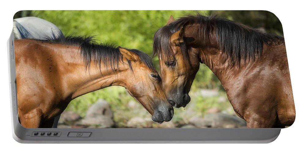 Wild Horses Portable Battery Charger featuring the photograph Pure Love by Saija Lehtonen