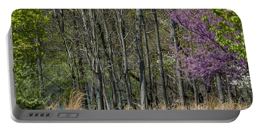 Bare Limbs Portable Battery Charger featuring the photograph Purple and Green by Brian Green