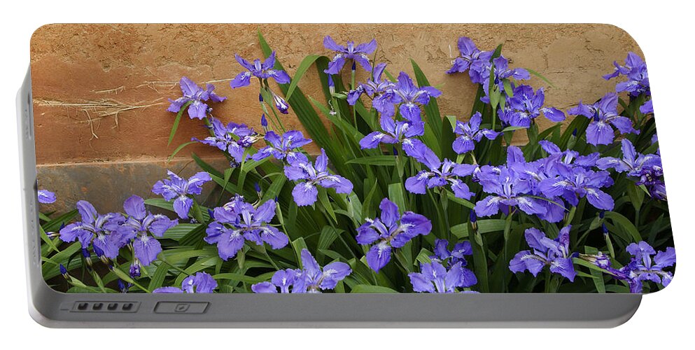 Flowers Portable Battery Charger featuring the photograph Purple and Orange by Michele Burgess