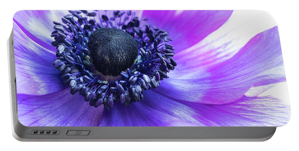 Anemone Portable Battery Charger featuring the photograph Purple Anemone by Kristen Wilkinson