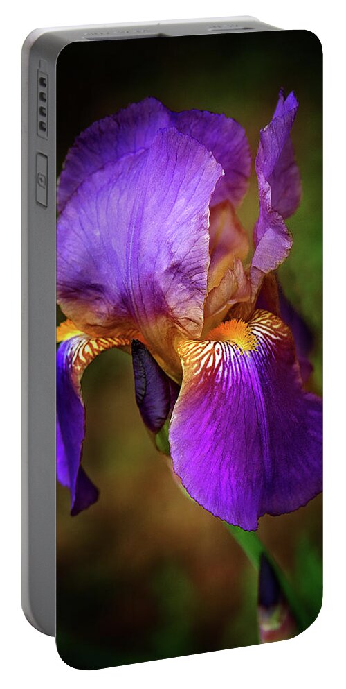 Purple Bearded Iris Flower Photograph Portable Battery Charger featuring the photograph Purple Bearded Iris by Gwen Gibson