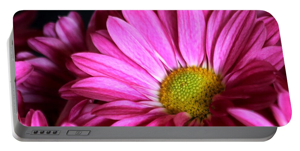 Nature Portable Battery Charger featuring the photograph Purple Chrysanthemum Close-up by Sheila Brown