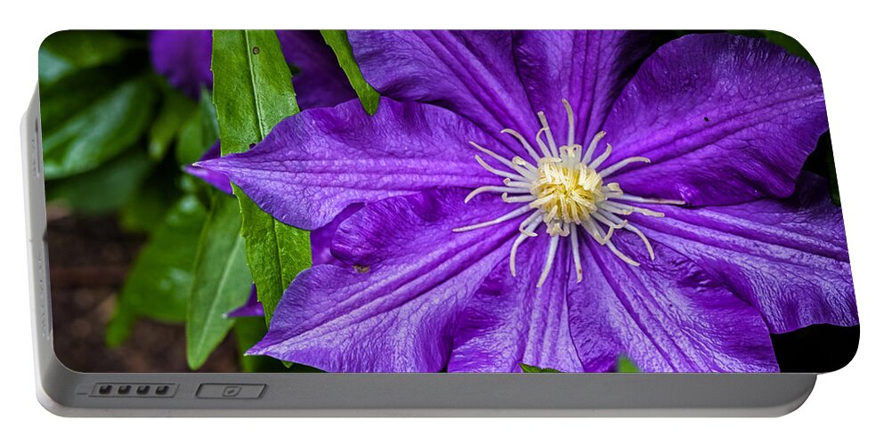 Fa 31 Portable Battery Charger featuring the photograph Purple Clematis by Lori Coleman