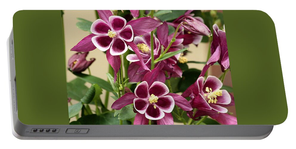 Nature Portable Battery Charger featuring the photograph Purple Columbine Flowers by Sheila Brown