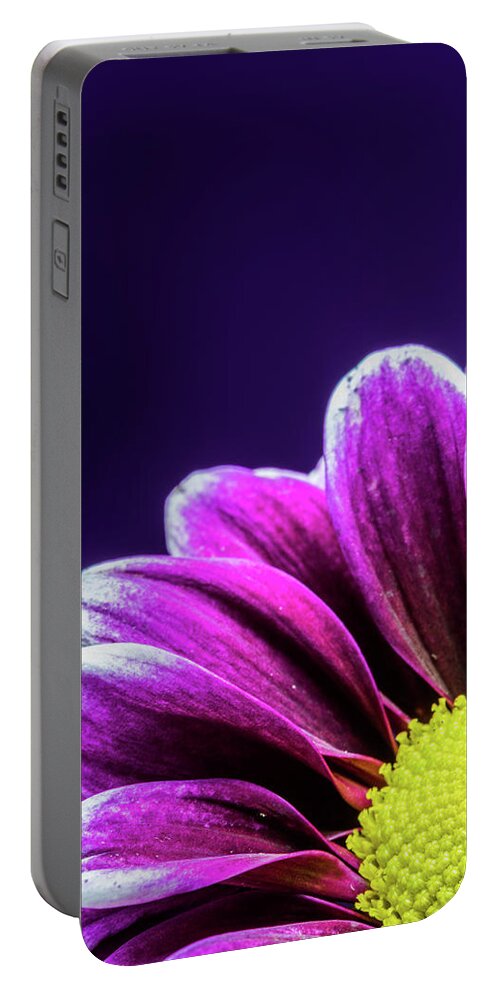 Daisy Portable Battery Charger featuring the photograph Purple Daisy Being Shy by Tammy Ray