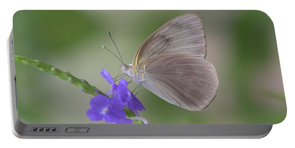 Butterfly Portable Battery Charger featuring the photograph Purple Drink by Artful Imagery