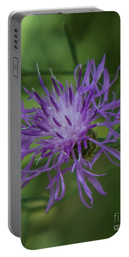 Purple Portable Battery Charger featuring the photograph Purple Flower 8 by Christy Garavetto