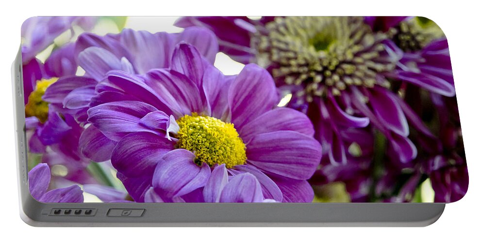 Gerbera Portable Battery Charger featuring the photograph Purple Flower in Cold Light. by Elena Perelman