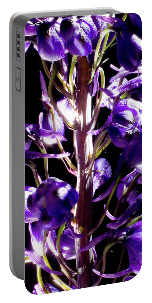 Color Portable Battery Charger featuring the photograph Purple Flowers by Frederic A Reinecke