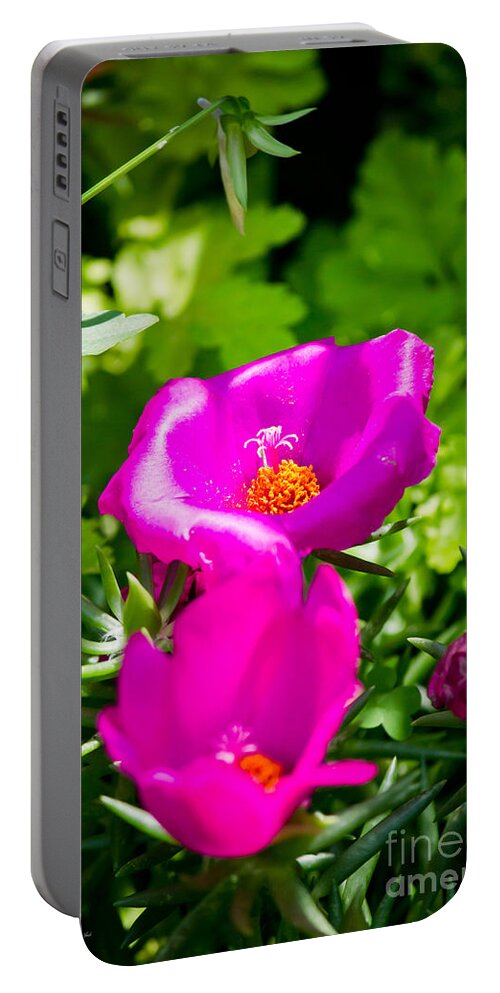 Nature Portable Battery Charger featuring the photograph Purple Flowers by Ms Judi