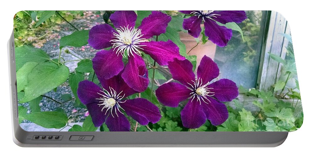 Floral Portable Battery Charger featuring the photograph Purple flowers by Steven Wills