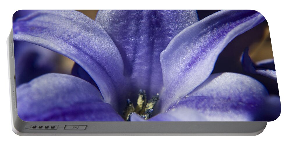 Hyacinth Portable Battery Charger featuring the photograph Purple Hyacinth by Teresa Mucha