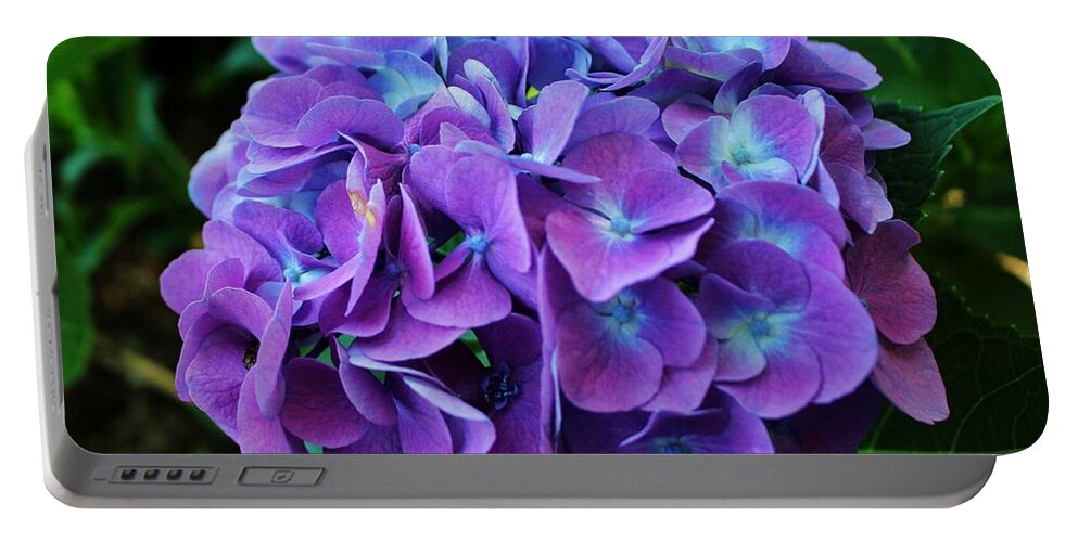 Hydrangea Portable Battery Charger featuring the photograph Purple Hydrangea by Cynthia Guinn