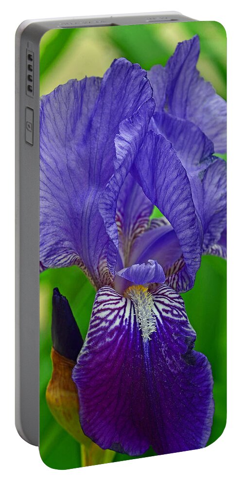 Purple Iris Portable Battery Charger featuring the photograph Purple Iris by Lisa Phillips