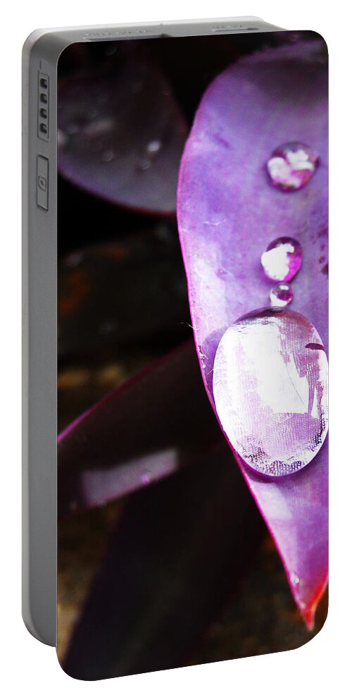 Purple Portable Battery Charger featuring the photograph Purple Leaf by Maggy Marsh
