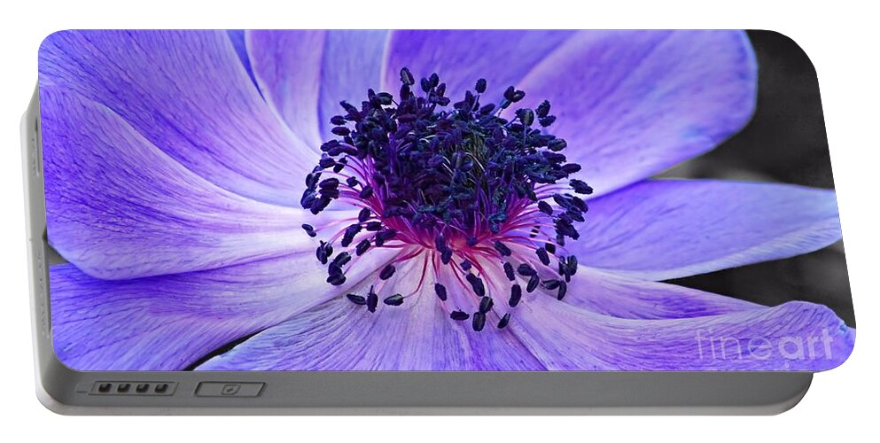 Purple Portable Battery Charger featuring the photograph Purple Poppy by Sharon Woerner
