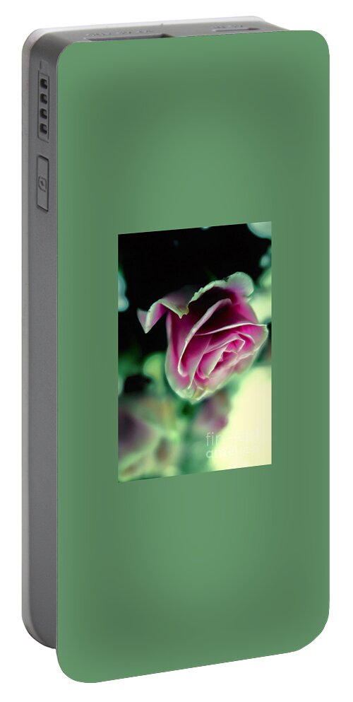 Floral Portable Battery Charger featuring the photograph Purple Rose by Tara Shalton