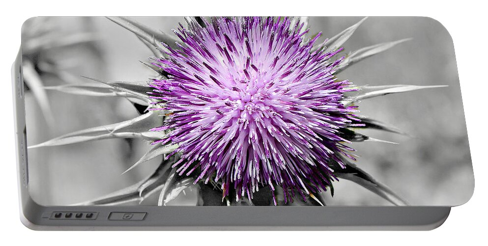 500 Views Portable Battery Charger featuring the photograph Purple Scrub by Jenny Revitz Soper