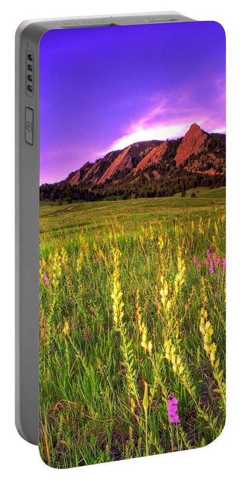 Colorado Portable Battery Charger featuring the photograph Purple Skies and Wildflowers by Scott Mahon