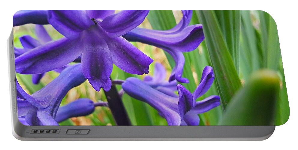 Purple Portable Battery Charger featuring the photograph Purple Spring by Robert Knight