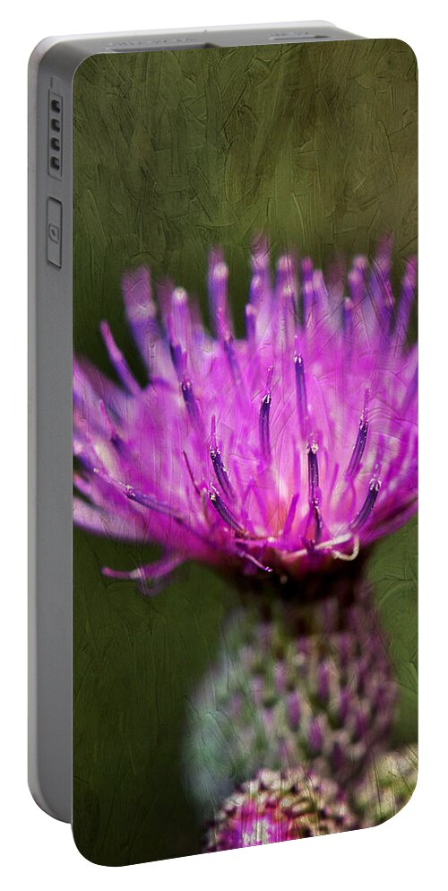 Purple Thistle Plant Print Portable Battery Charger featuring the photograph Purple Thistle Plant Print by Gwen Gibson
